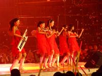 kungfu string girls band