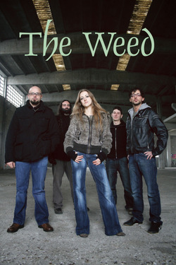 The Weed