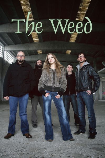 The Weed