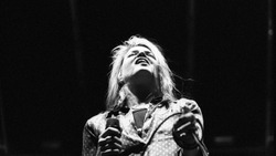 Alison Mosshart