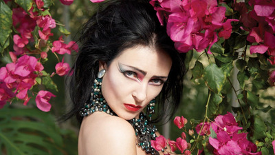 Siouxsie and the Banshees