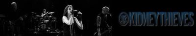 Kidneythieves