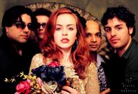 The Divine Madness